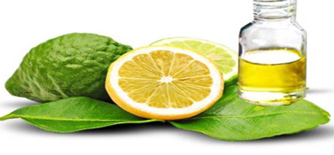 Oudh, Cedar and Bergamot Fragrance