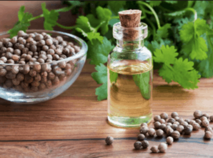 Coriander Essential Oil (Cosmetic)