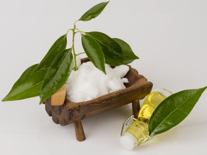 Camphor Essential Oil (Cosmetic)