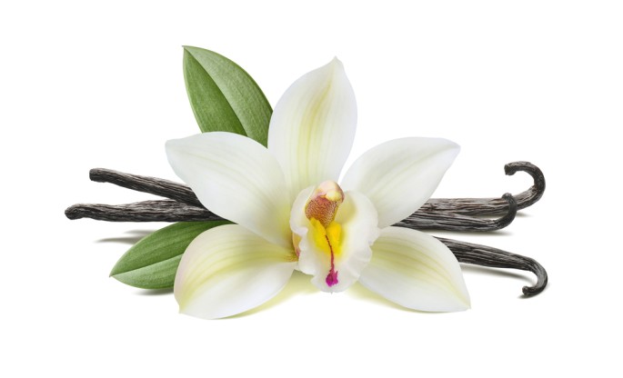 Vanilla Flora Fragrance