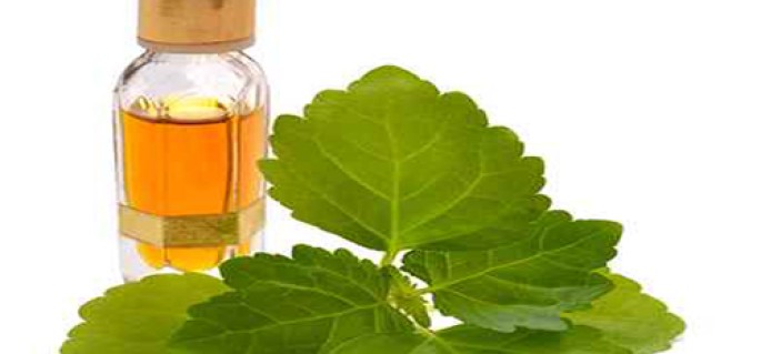 May Chang Essential Oil (Cosmetic)