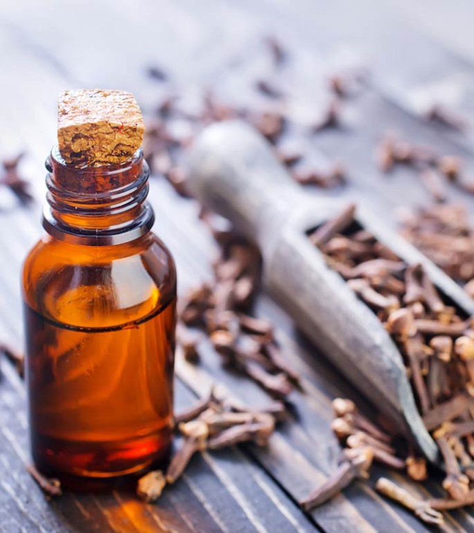 Clove Bud Essential Oil (Cosmetic)
