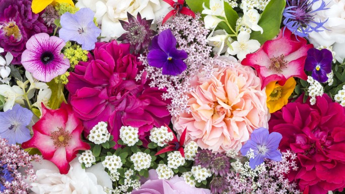 Sweet Surprise Fragrance
