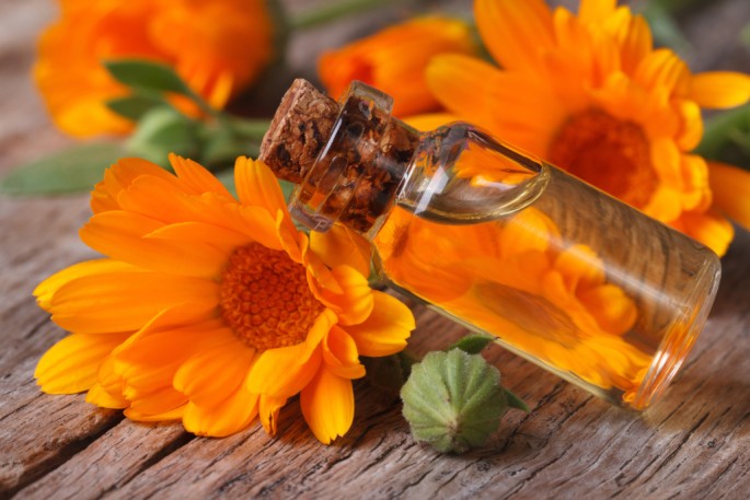 Calendula Oil (Infused)