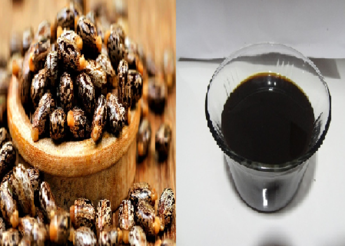 Jamaican Black Castor Oil
