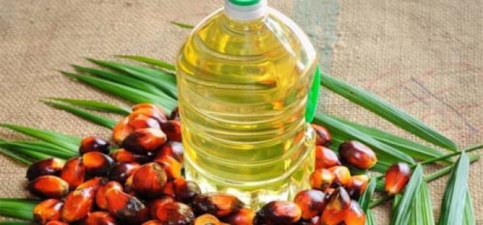 Palm Oil