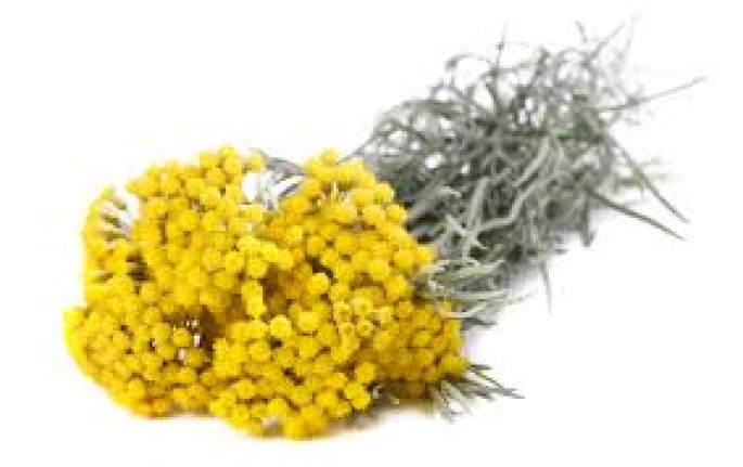 Helichrysum Essential Oil (Cosmetic)