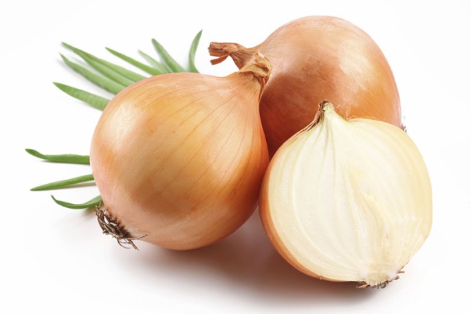 Onion Extract  (WATER SOLUBLE)