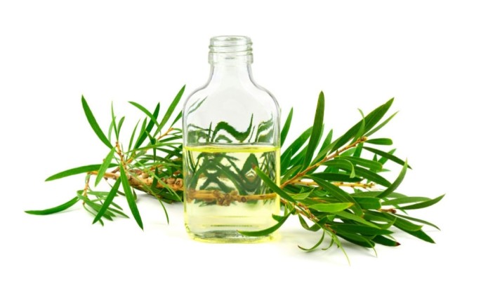 Cajeput Essential Oil (Cosmetic)