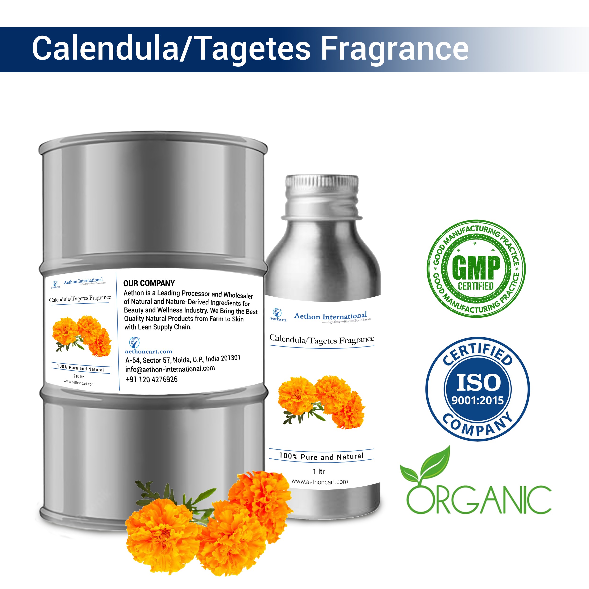 Calendula / Tagetes (WS)