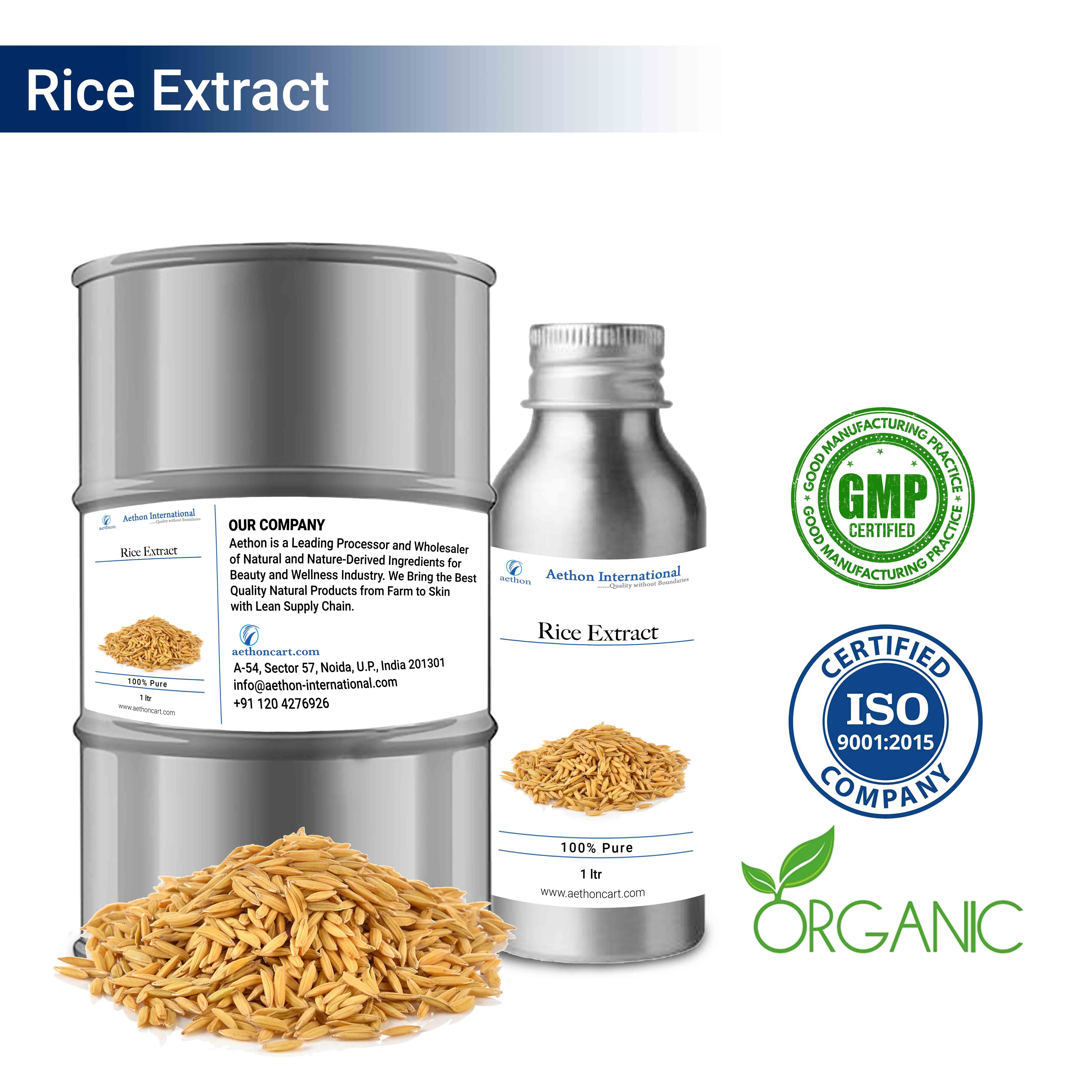 Rice Extract (WATER SOLUBLE) Rice Extract (WATER SOLUBLE)