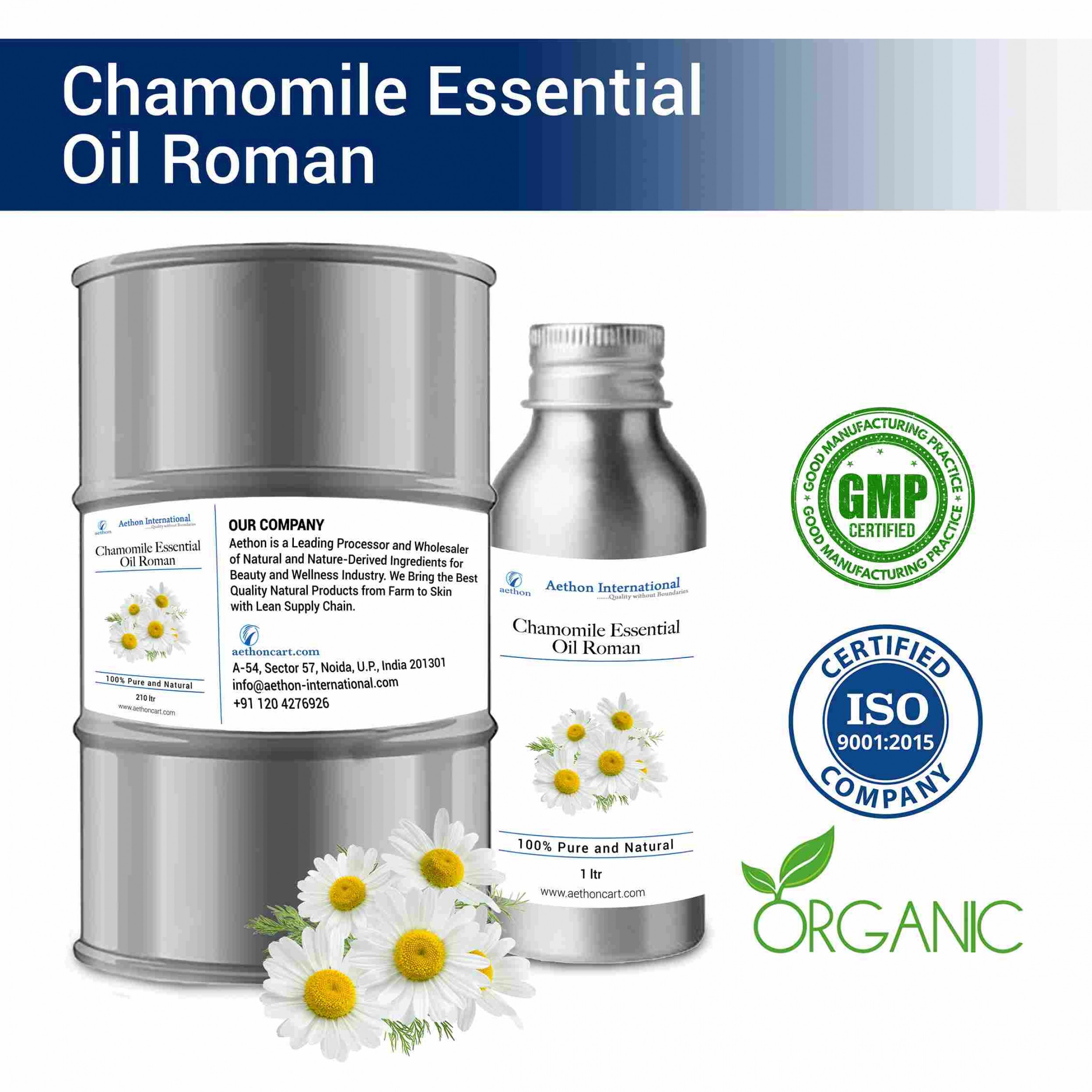 Chamomile Essential Oil Roman Chamomile Essential Oil Roman